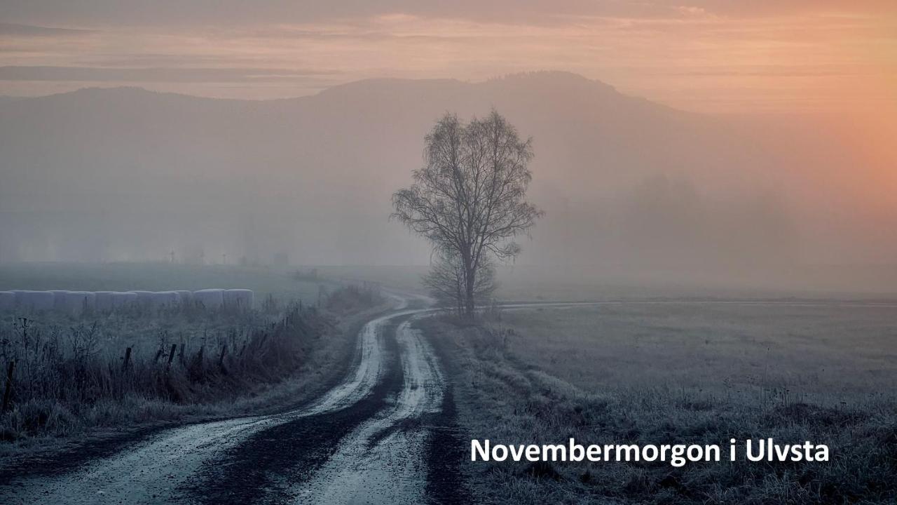Nyrenoverat Boende I Vackra Йервсё Экстерьер фото