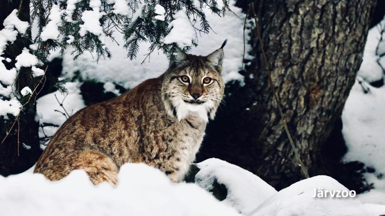 Nyrenoverat Boende I Vackra Йервсё Экстерьер фото